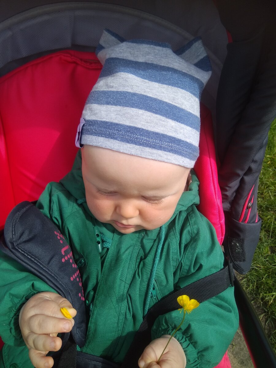 Лютик и Лев