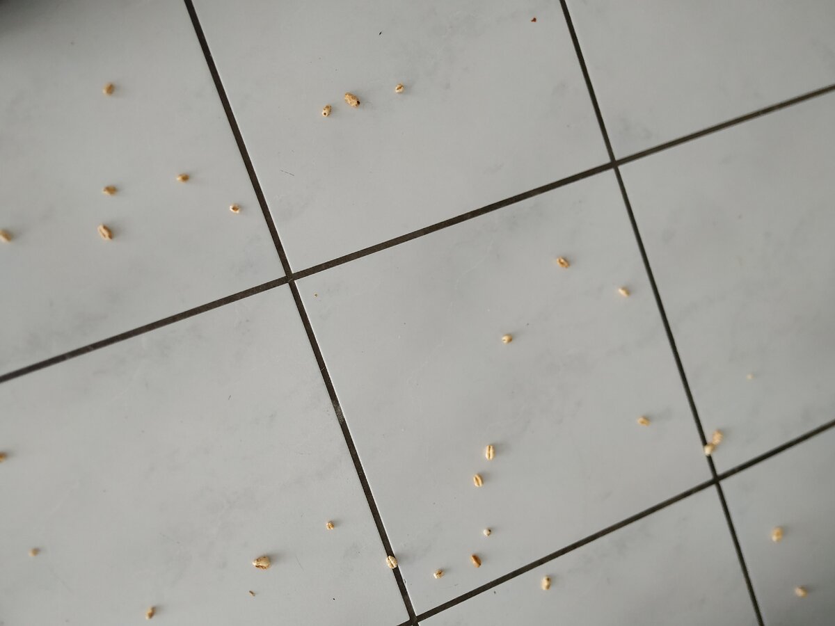 Всё из рук сыпется.