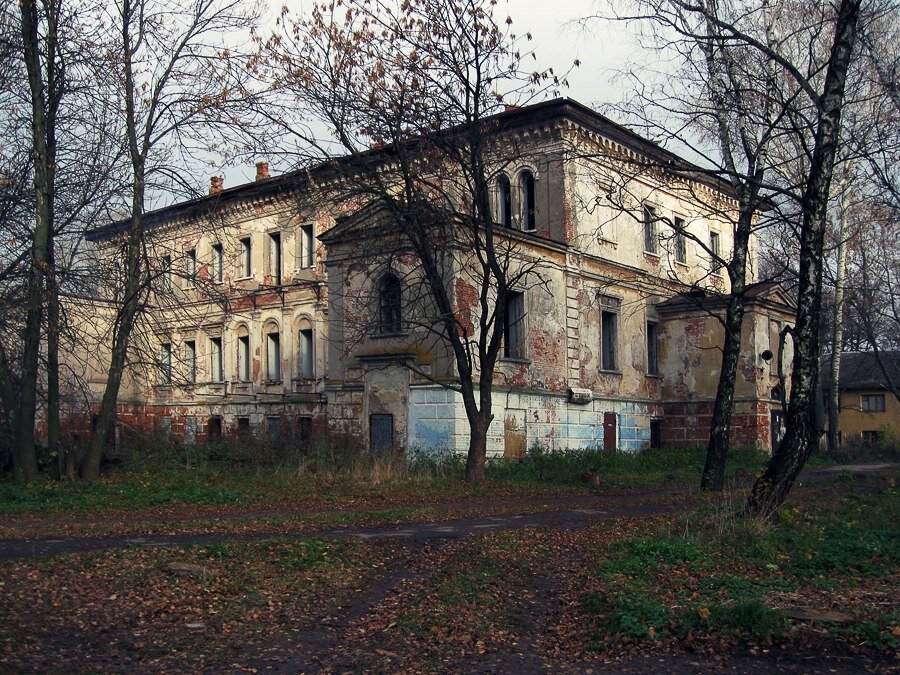 Усадьба Дубовицких-Мерхелевичей в Стенькино (Рязанский район)