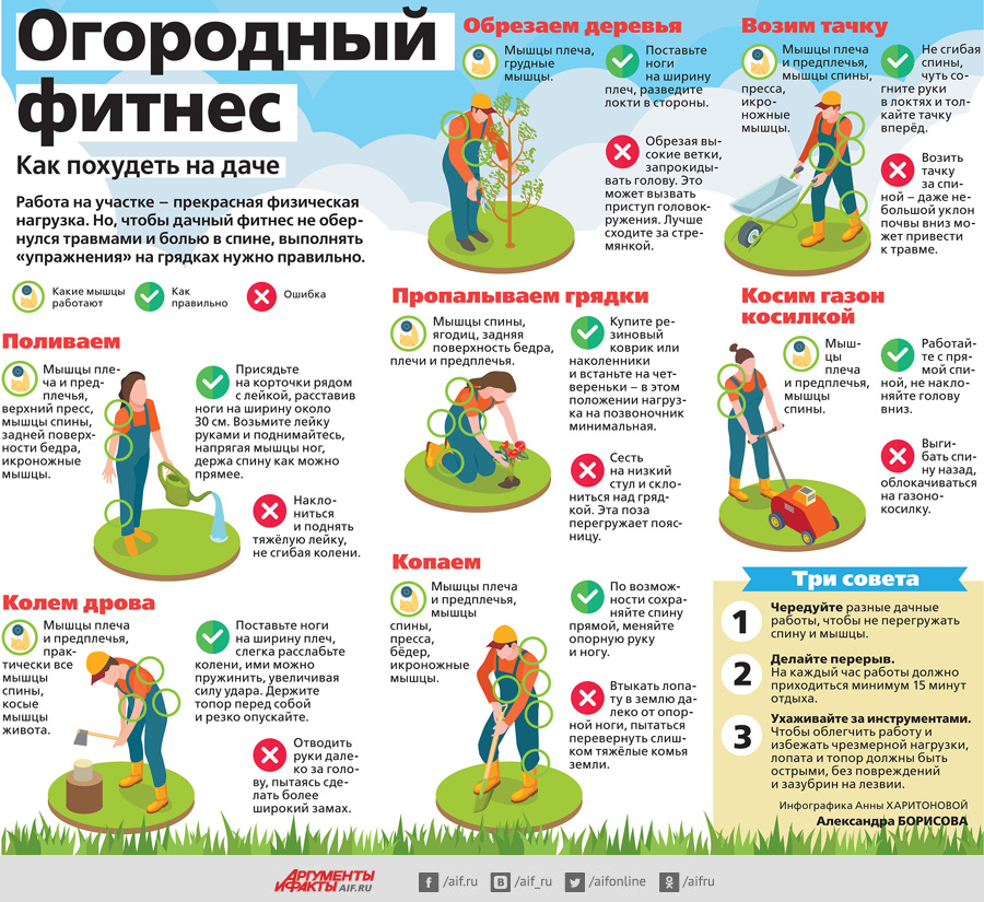 Работа на участке – прекрасная физическая нагрузка. Но, чтобы дачный фитнес не обернулся травмами и б­олью в спине, выполнять «упражнения» на грядках нужно правильно.