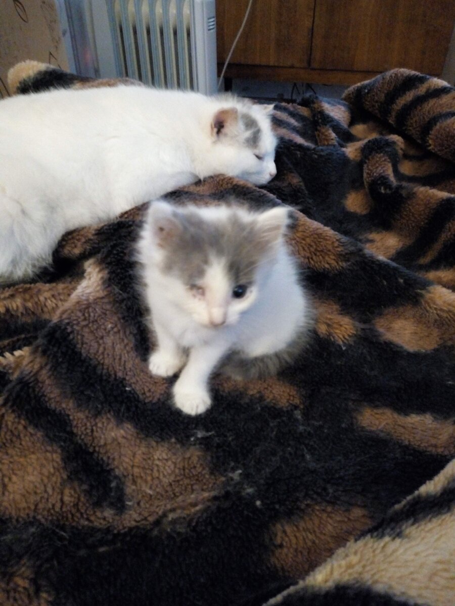 Маленький Пиратик с мамой