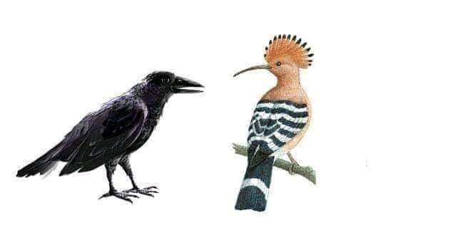 Картинка свободный доступ интернета.