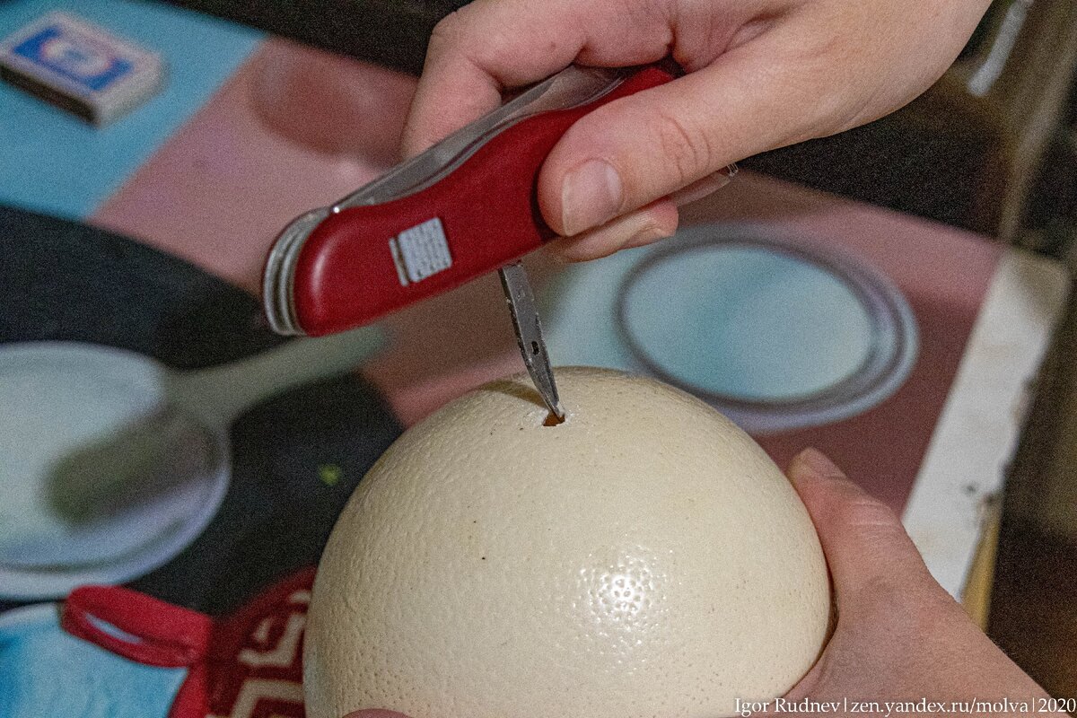 Шилом перочинного ножа делаем отверстие в толстенной скорлупе