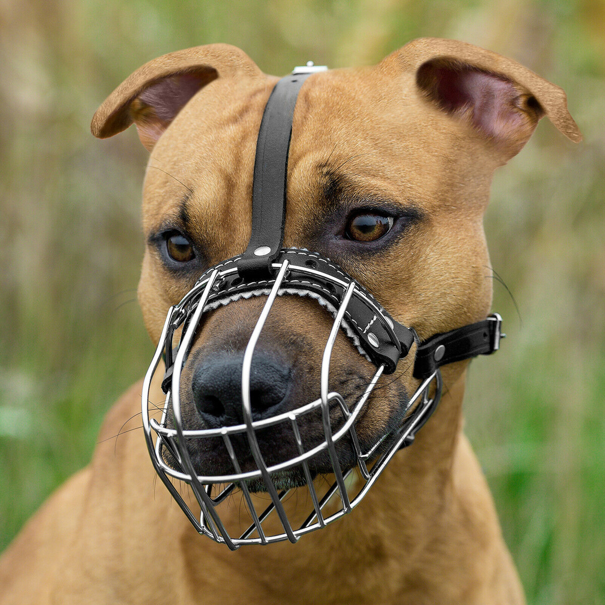 Взято https://i.ebayimg.com/00/s/MTYwMFgxNjAw/z/NGsAAOSwp1xZ05Sr/$_57.JPG?set_id=8800005007