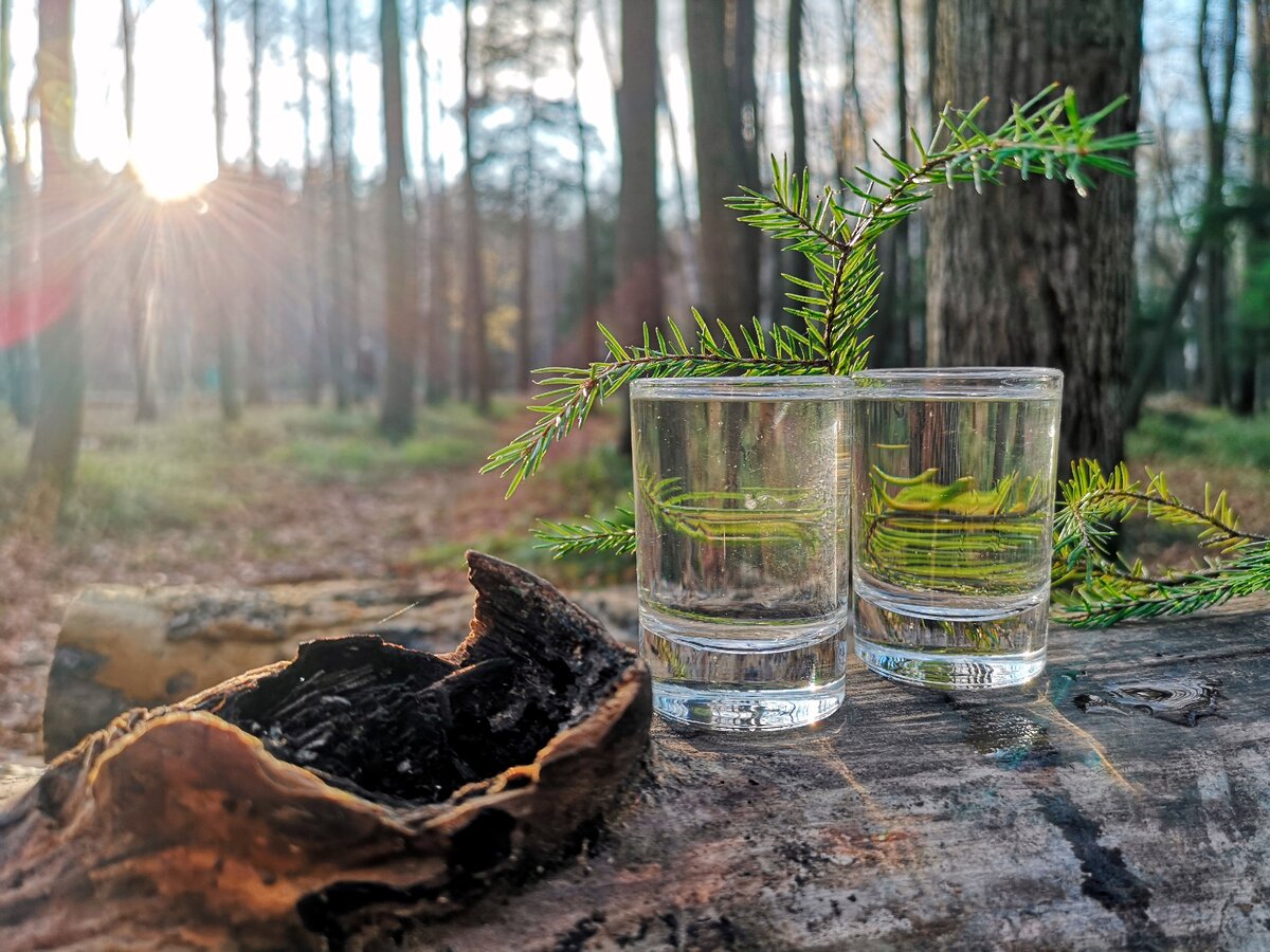 Gin - известные всему миру три буквы, но не те, о которых вы сразу подумали