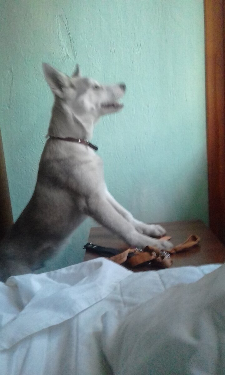  - Я смотрю, скоро солнце взойдет, а ты еще спишь!