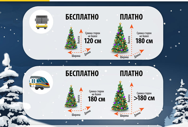Транспортировка елки
