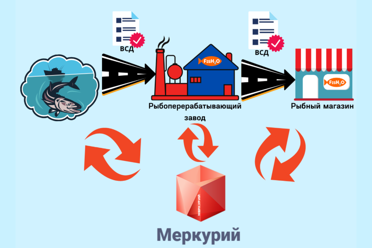 На картинке наглядно изображен процесс работы системы Меркурий: ВСД оформляется на каждом этапе пути рыбной продукции. Чтобы посмотреть наше ветеринарное свидетельство, листайте вправо