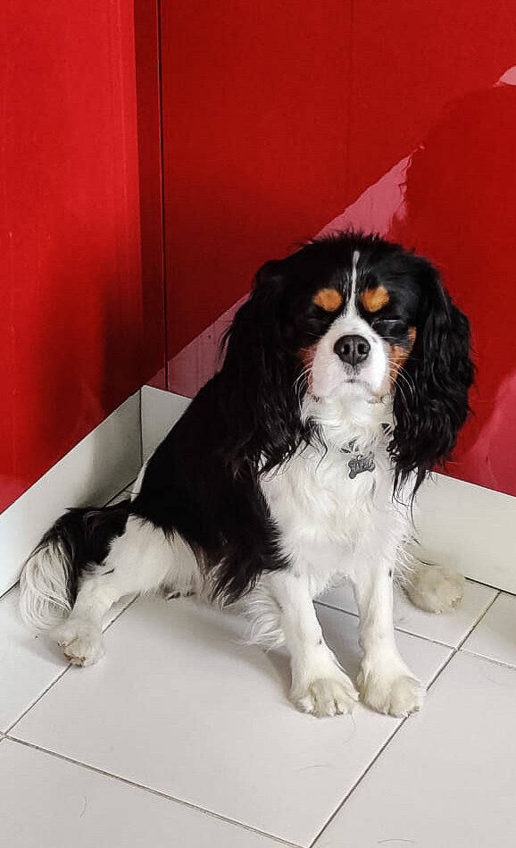 Когда уже отменят эти понедельники....