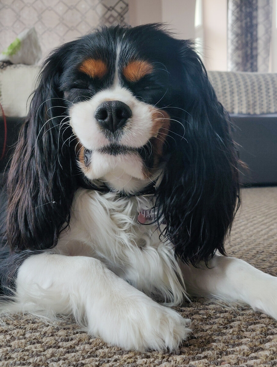 Улыбаемся и пашем