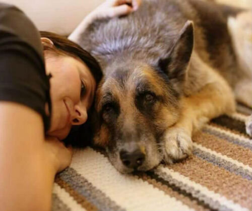 5 правил ухода за больной собакой дома: как облегчить жизнь своему любимцу