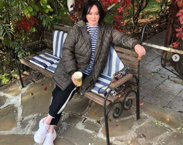 Осень в Куркино. Фото: yandex.ru