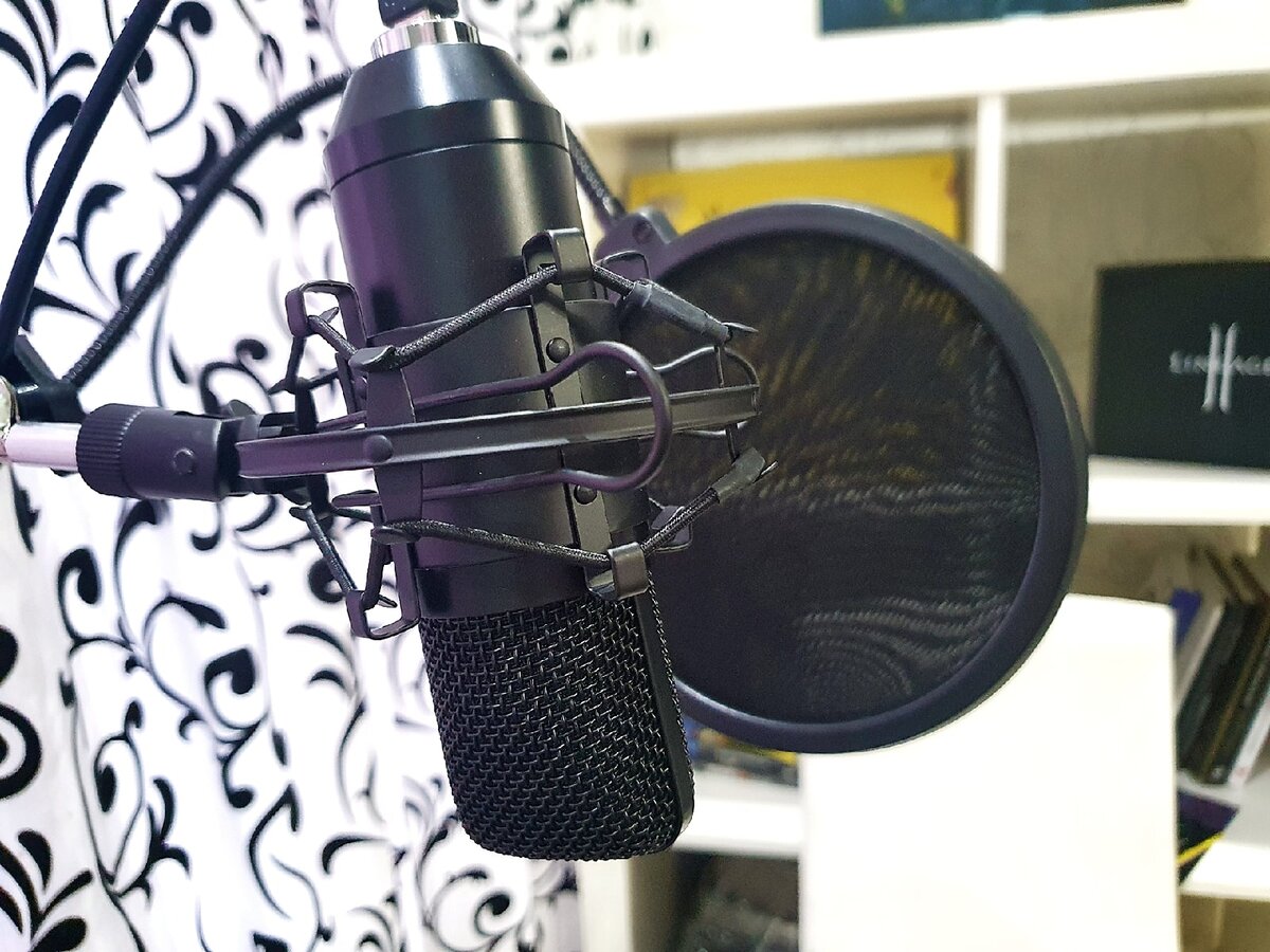 Ritmix RDM-169 вблизи