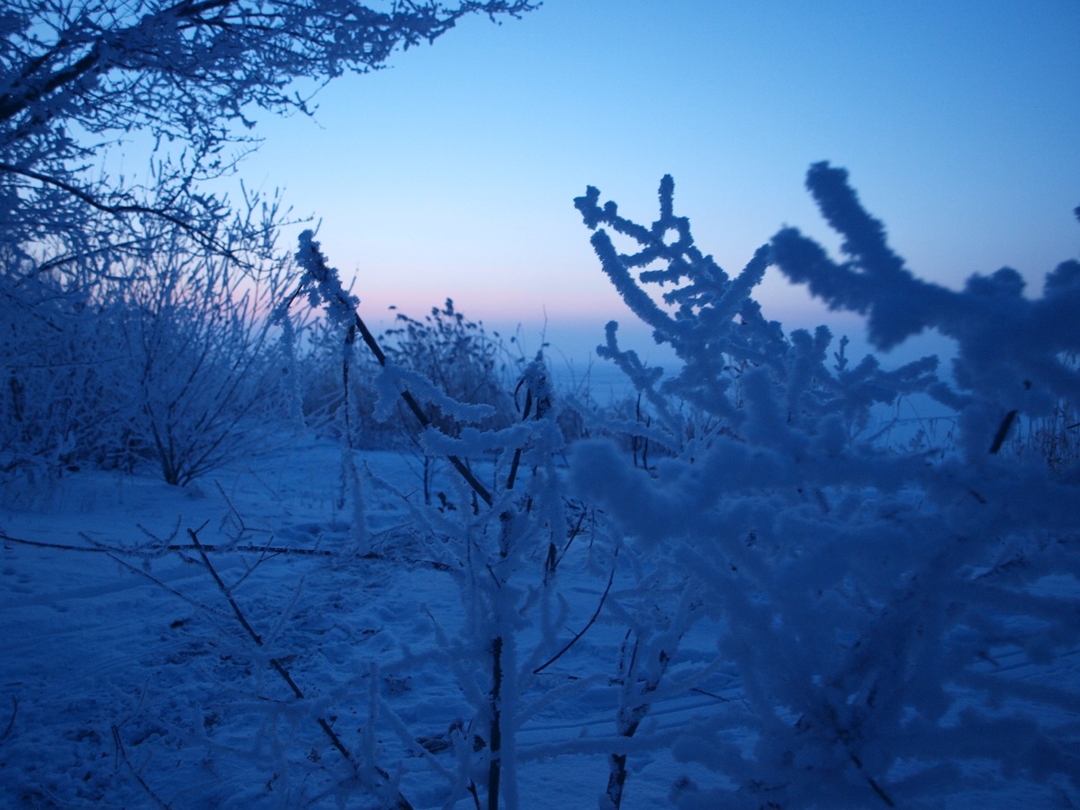Настоящая зимняя сказка на фоне заката.
