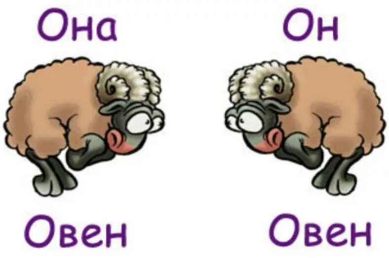 Женщина-Овен и мужчина-Овен: совместимость