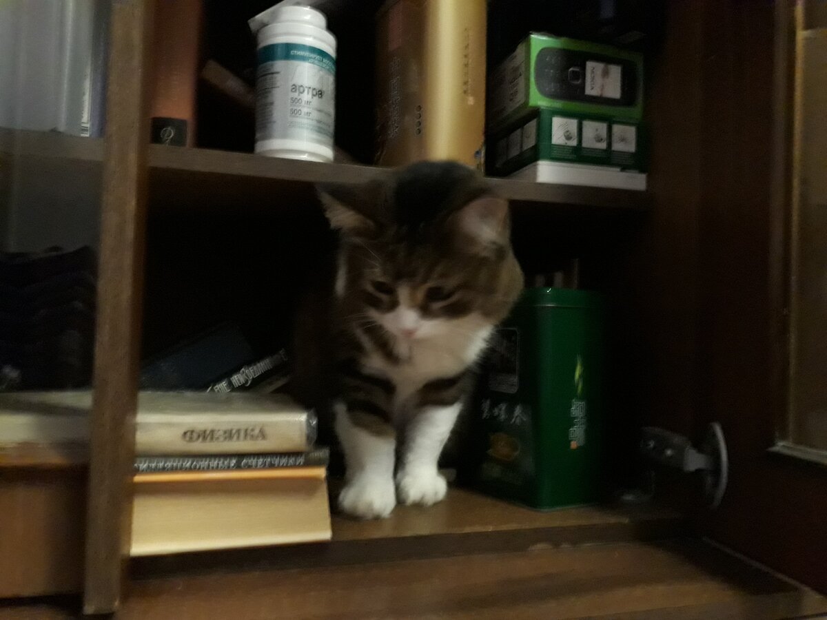 Масенька, вообще-то Масяня