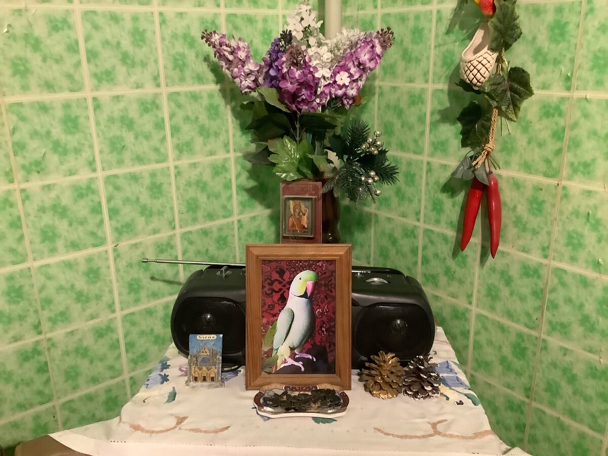 Одиночество... Фото автора