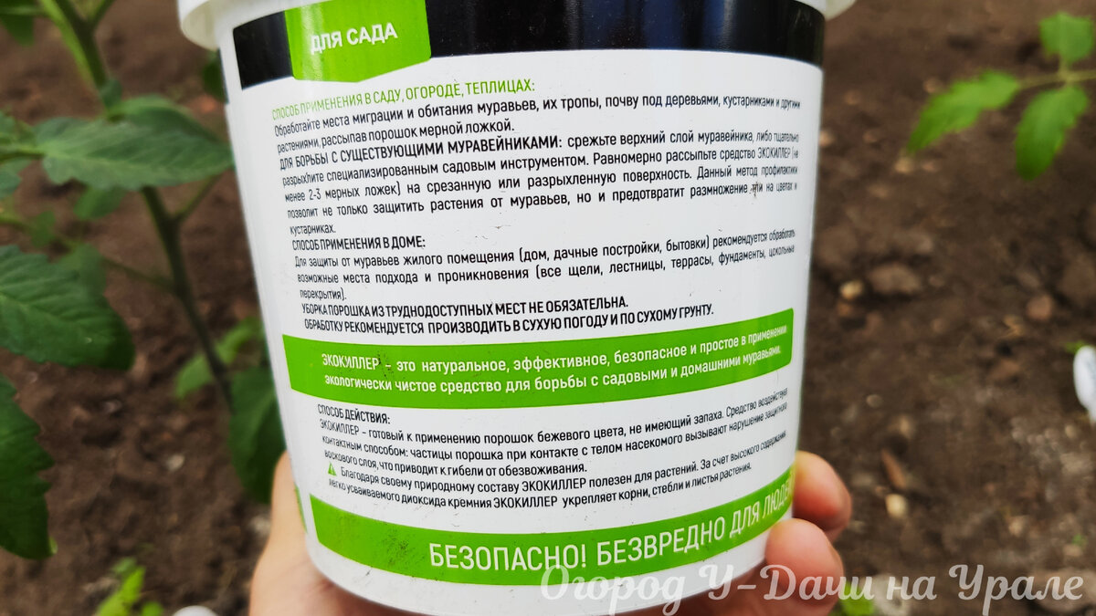 За 4 дня избавилась от садовых муравьев в теплице без химии и вреда для  растений. Показываю, что за средство я применяла | Огород У-Дачи | Дзен