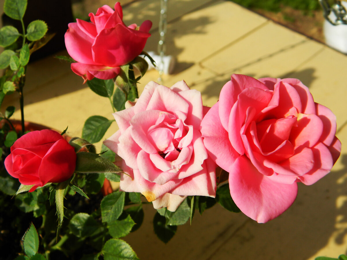 фото автора канала