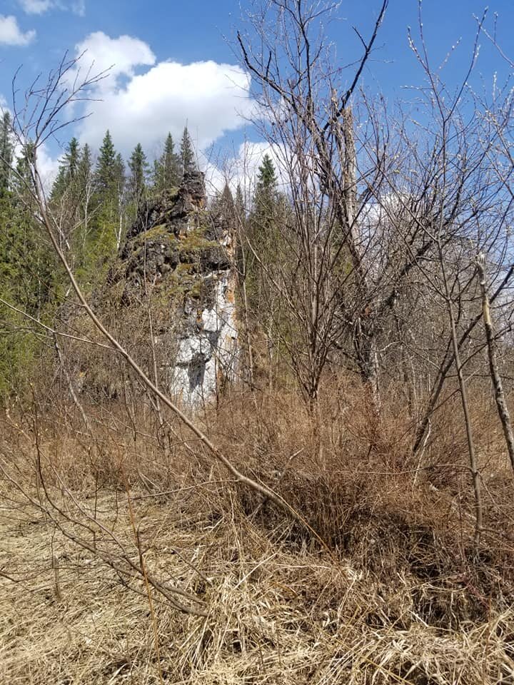 Берег Нижней Панихи