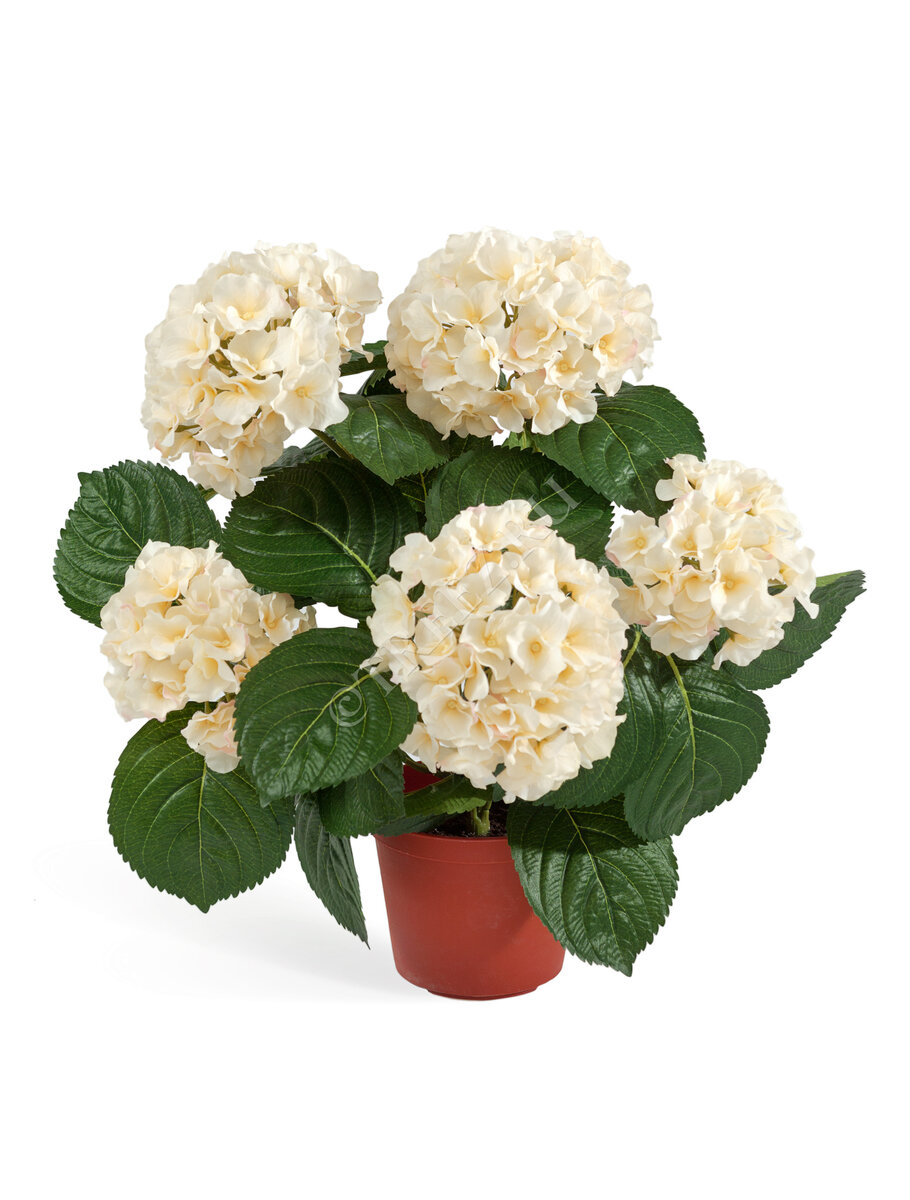 Искусственная гортензия Treez Collection