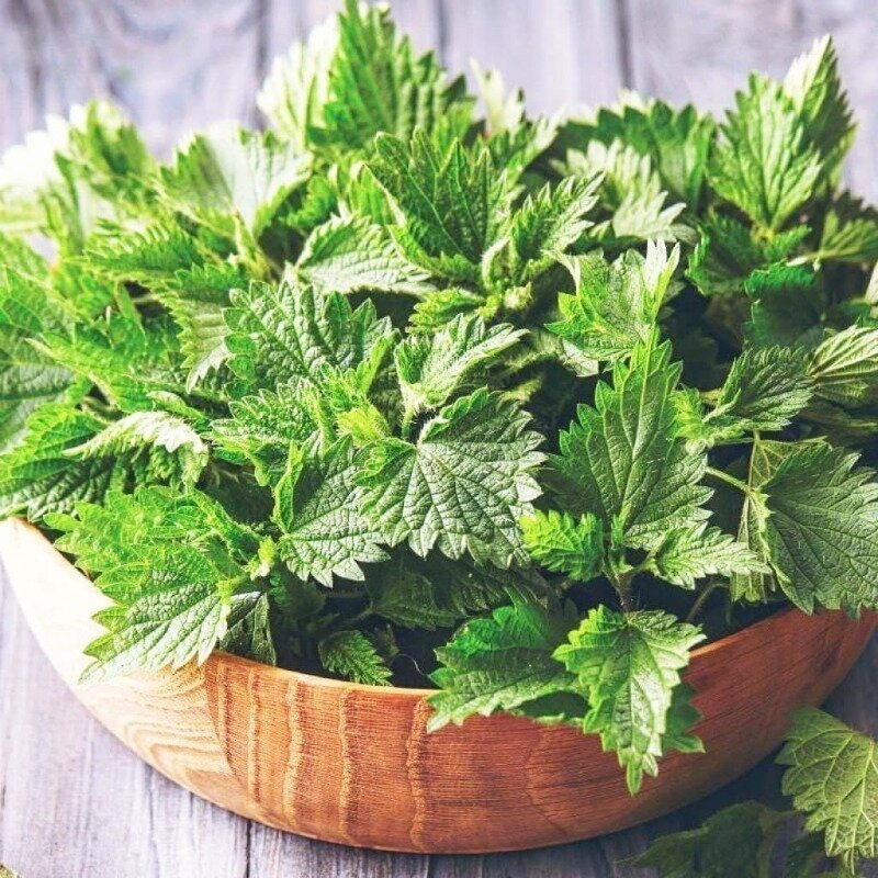 Фото https://www.instagram.com/p/CHsSopOna8t/