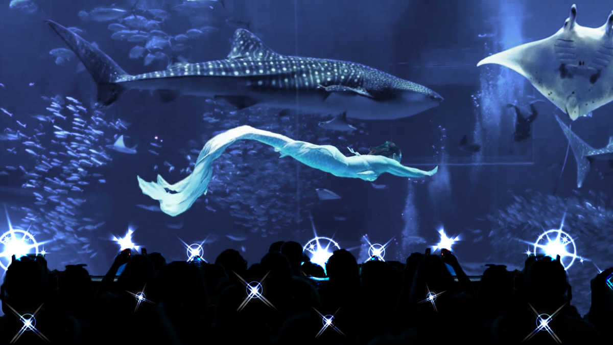 Толпа фотографирует русалку с морскими обитателями