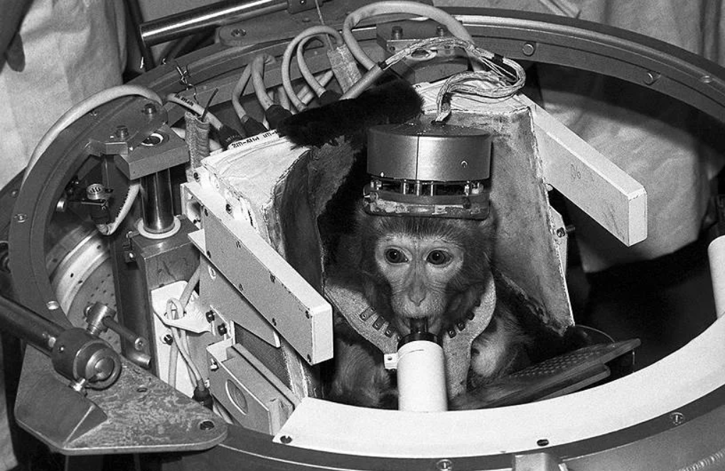 Фото: яндекс картинки