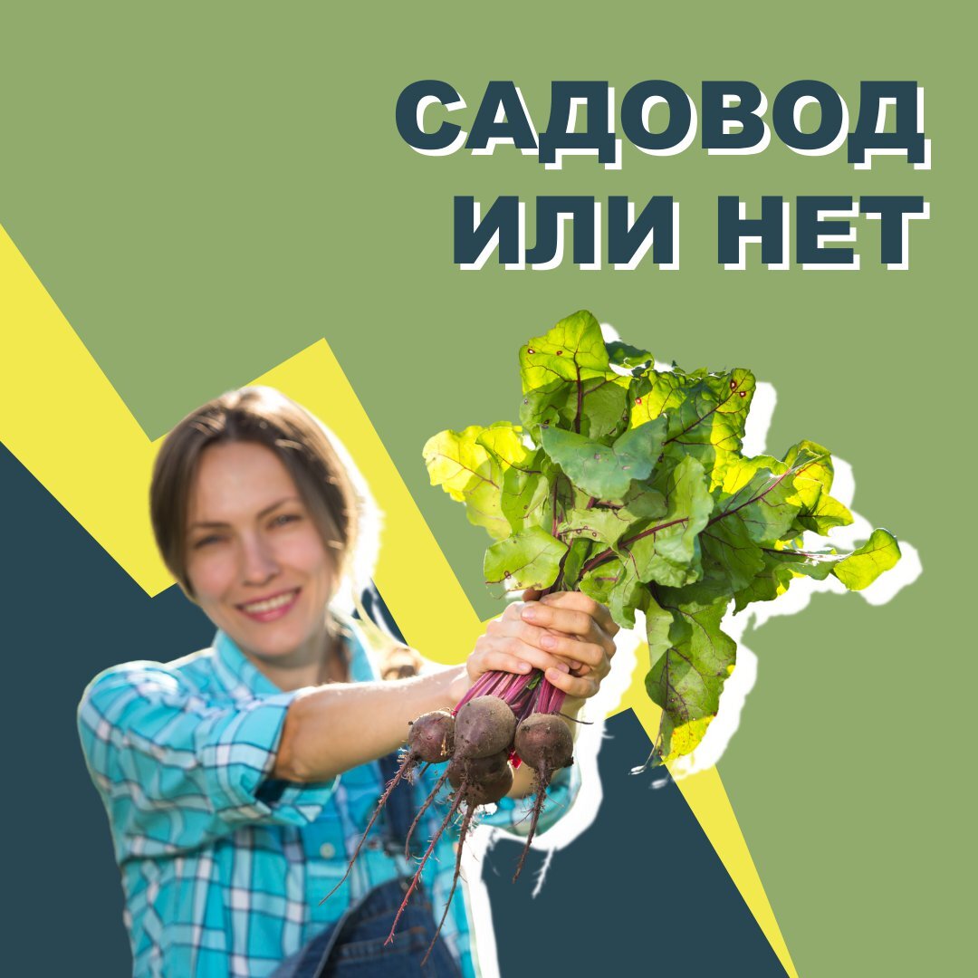 Изменение земель на земли ЛПХ