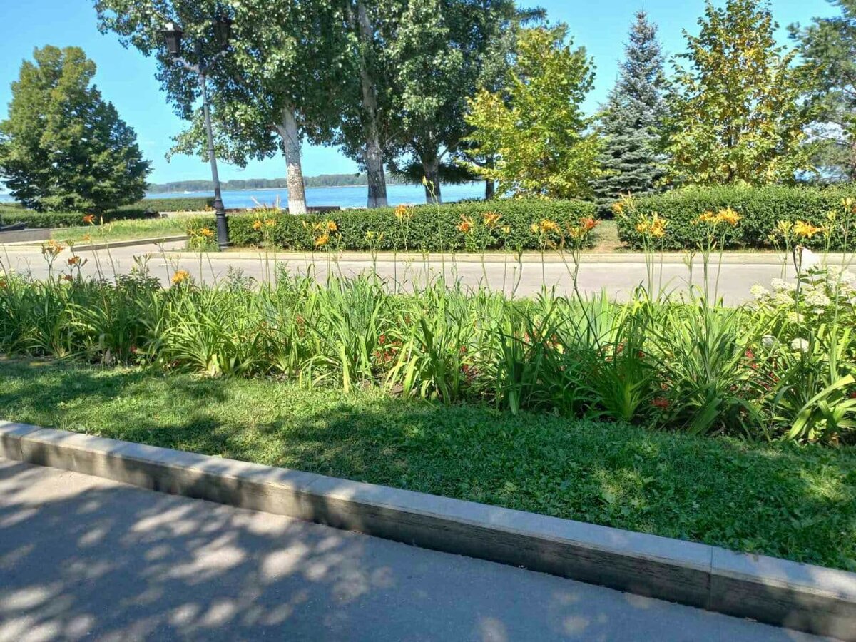 Фото автора.