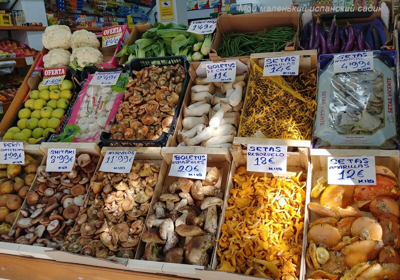 Грибы на испанском прилавке: champiñones, bolétus de china, setas angulas, setas normal, shitaki, níscalos, boletus españoles, rebozuelo, setas amarillas.