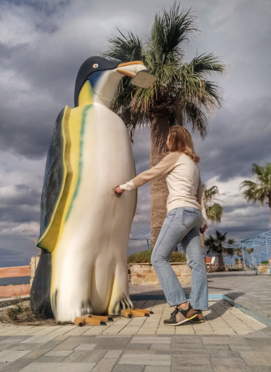 Пингвин заскучал без туристов (фото автора)