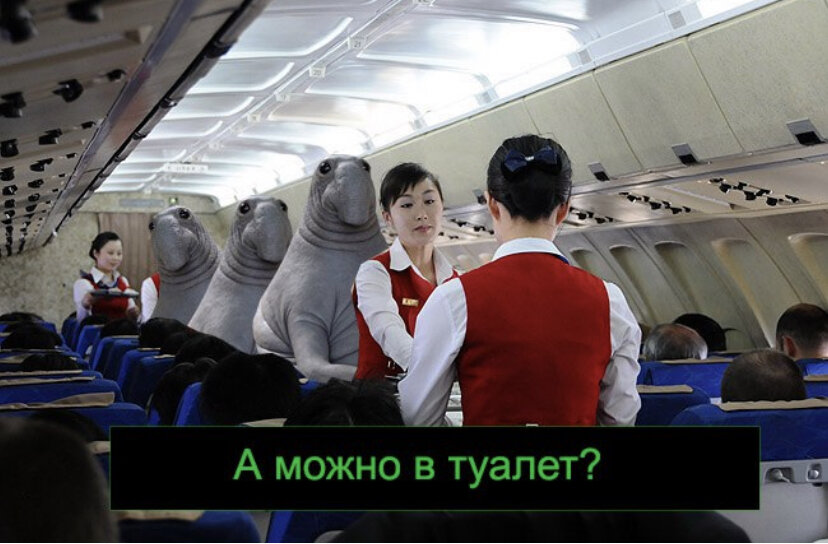 Фото из открытых источников интернета