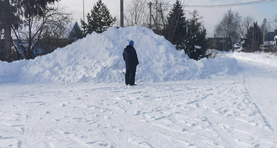 Хамский сосед стал обладателем впечатляющего снежного террикона. Мой супруг оценивает его весенние перспективы.