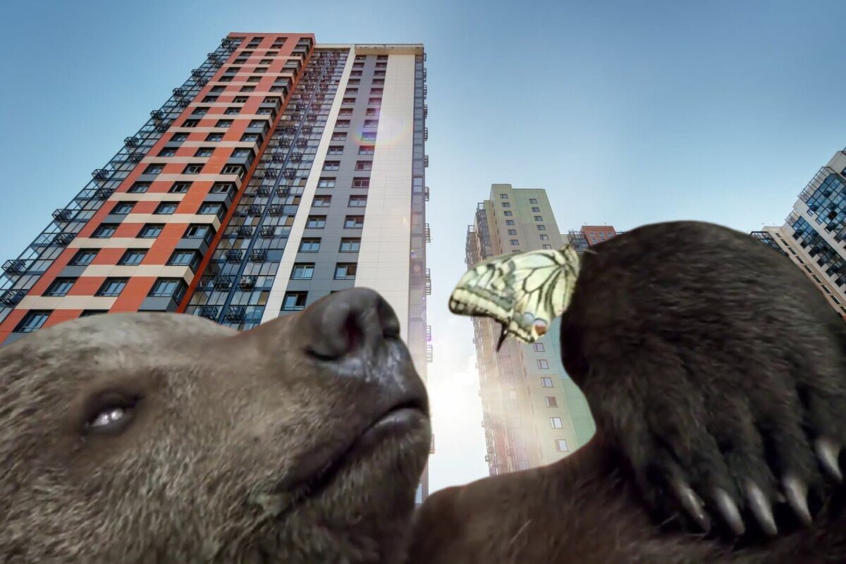 Медвежья услуга