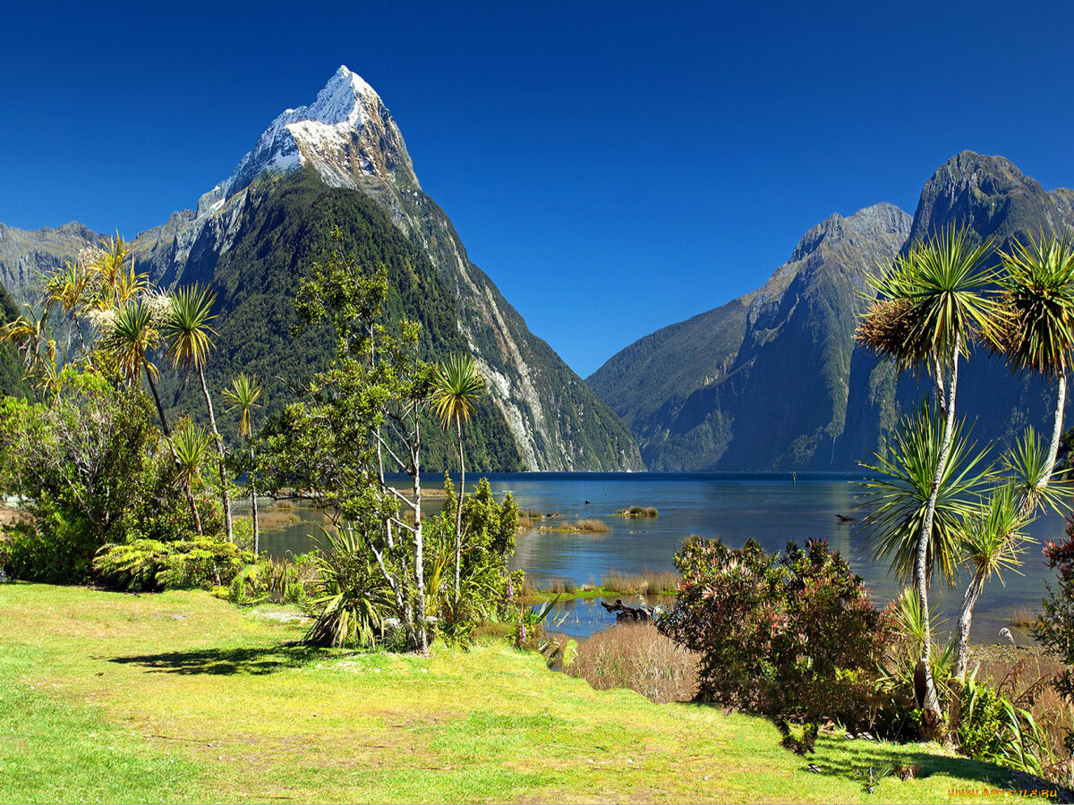 Природа новой зеландии