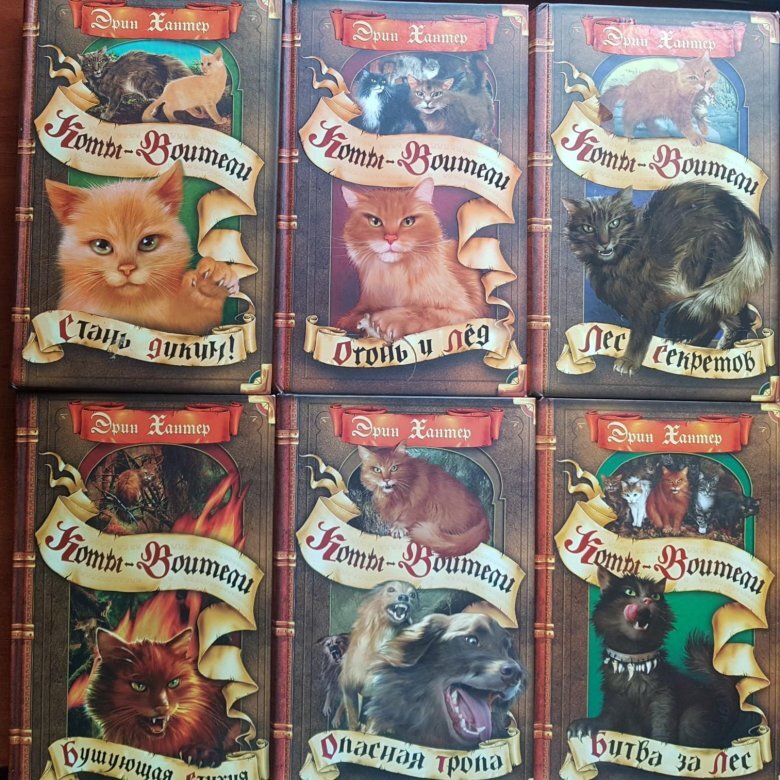 все книги первого цикла