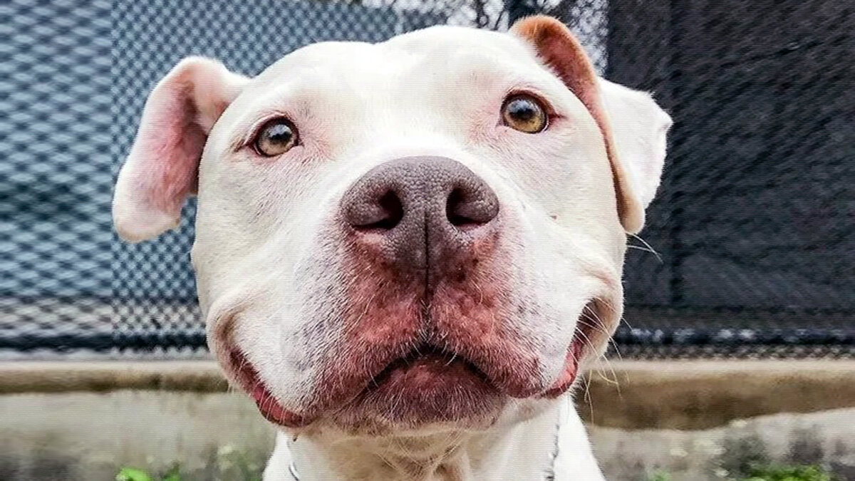 Я вернусь за тобой. Жди!