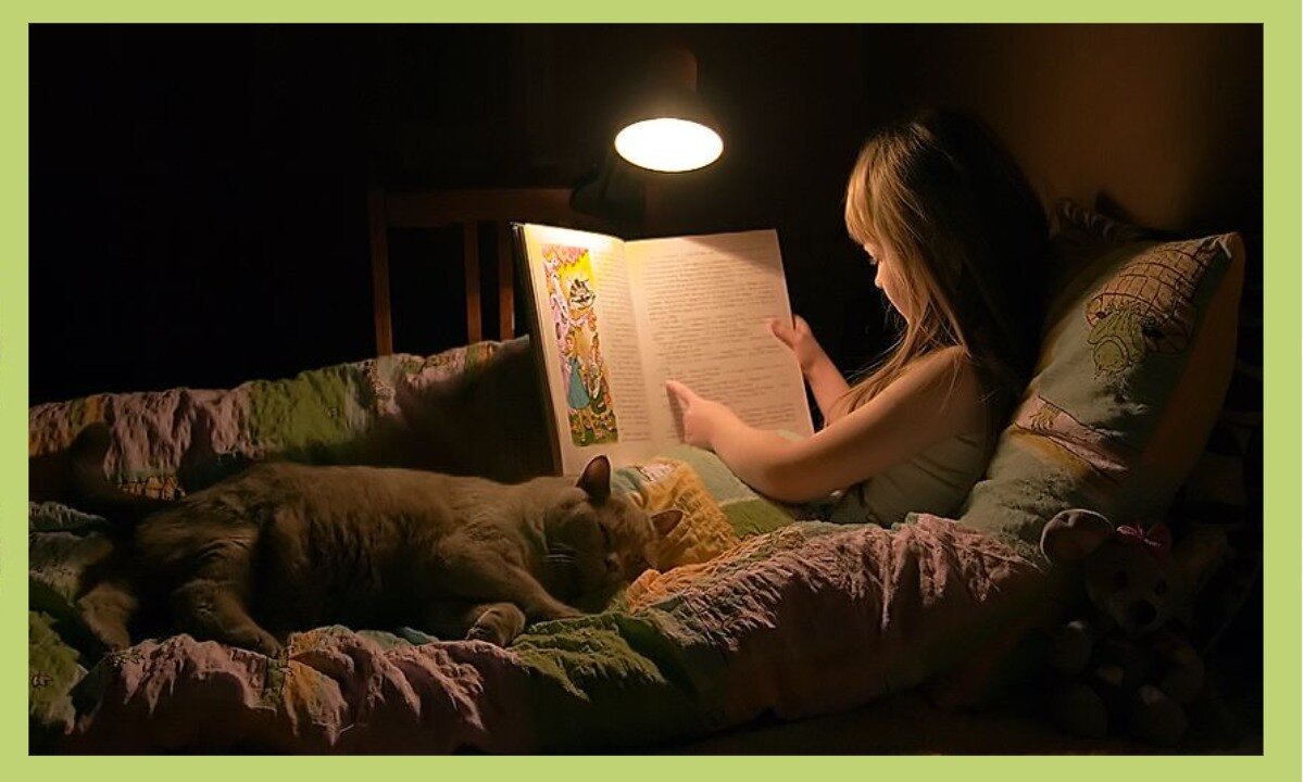 Картинки читаем перед сном