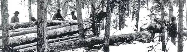 Картинка из инета: — Ты чё гонишь, харя немытая...