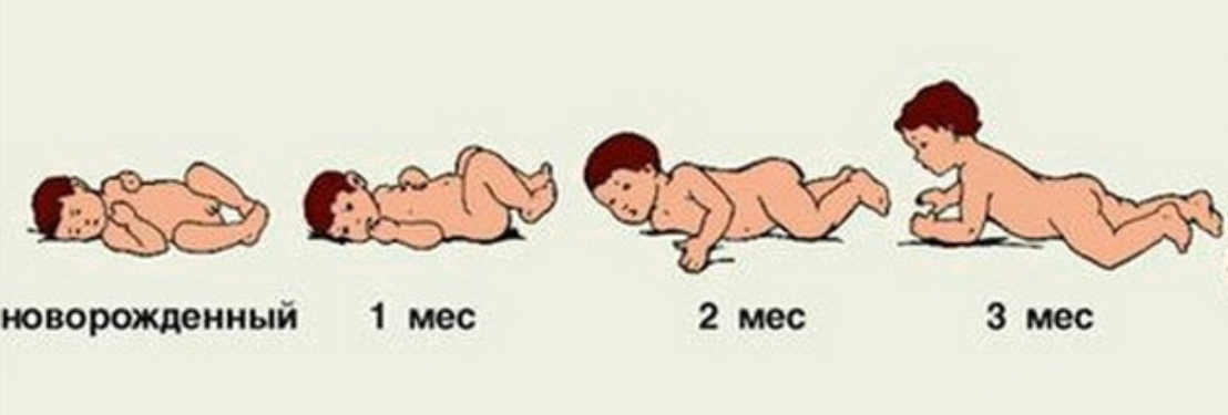 Сколько можно лежать на животе. Поза новорожденного ребенка. Головка ребенка в 3 месяца. Положение ребенка в 3 месяца.
