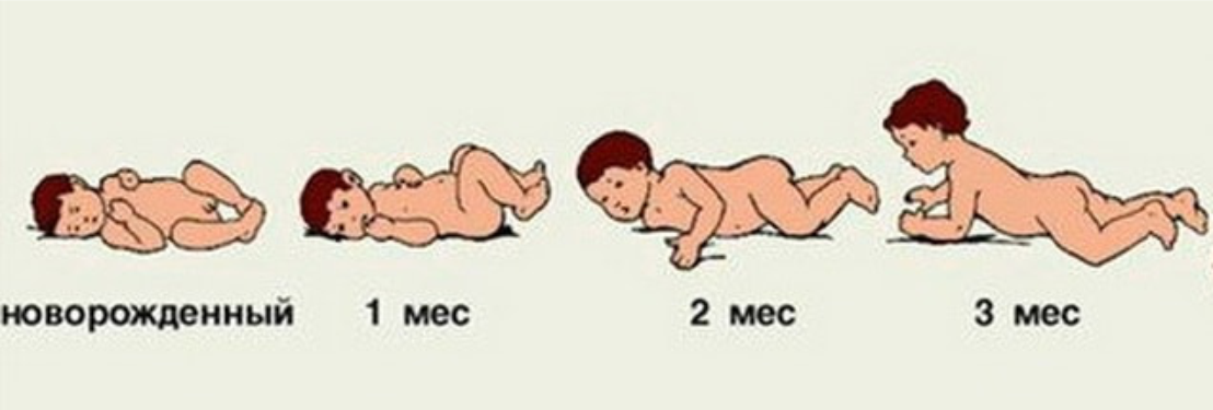 В течение 1 3 месяцев. Положение грудничка на животе. Правильное положение грудничка на животе. Положение ребенка в 3 месяца. Положение лежа на животе ребенка по месяцам.