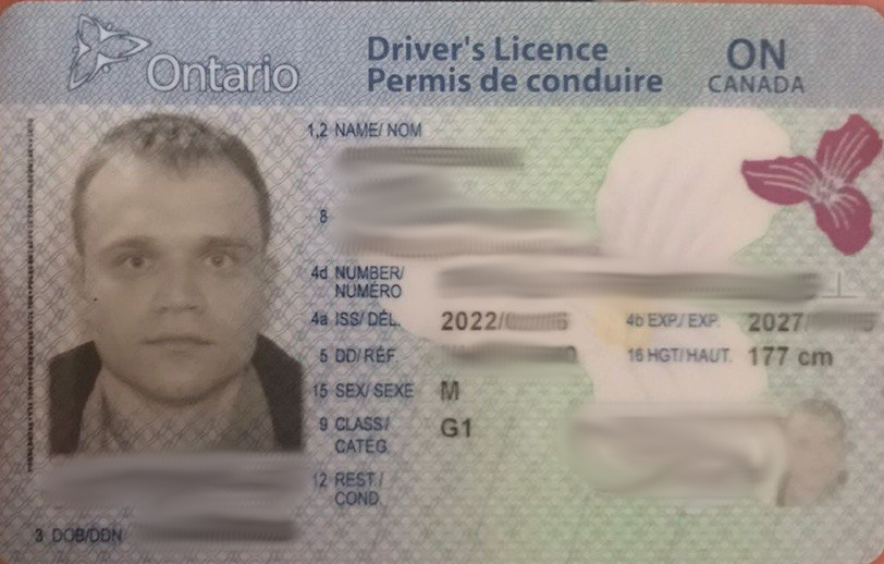 Так выглядит лицензия в Онтарио