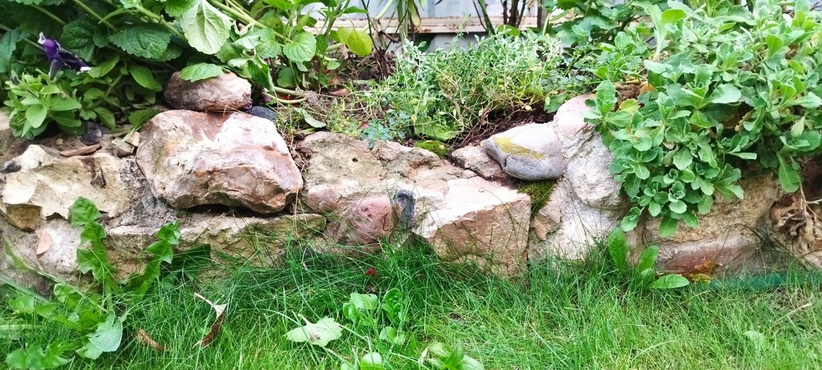 Вот здесь выпали несколько небольших камней, нужен ремонт.