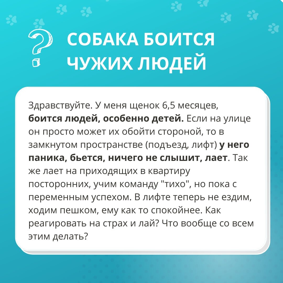 БЕСПЛАТНЫЙ ОНЛАЙН-СЕМИНАР ЕКАТЕРИНЫ ГУРОВОЙ «СТРАХИ И ФОБИИ У СОБАК. ЧТО  ДЕЛАТЬ С ТРЕВОЖНОЙ СОБАКОЙ?» | DogWinner | Дзен