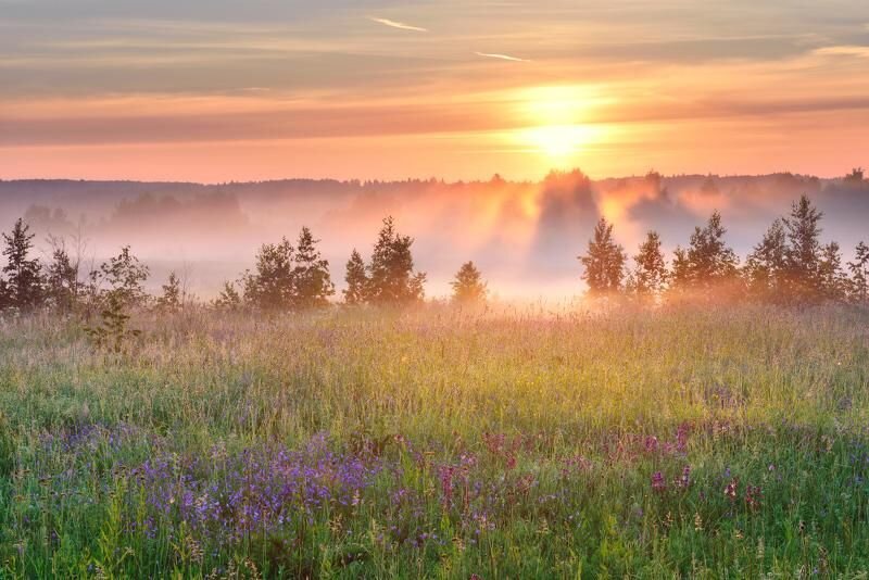 Рассвет в мае картинки