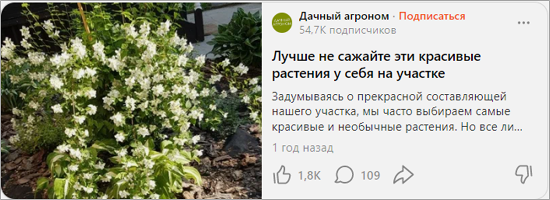 Почти 55 тыс. подписчиков, 190 000 просмотров. 