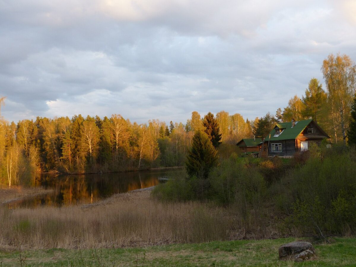 окрестности Академической дачи. Фото из сети интернет.