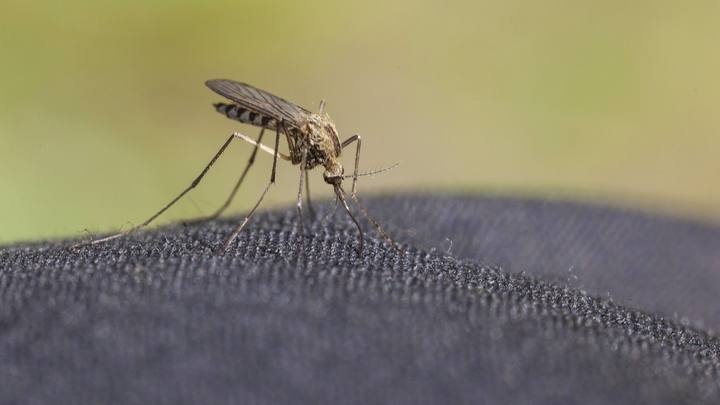 A.Hart/Globallookpress