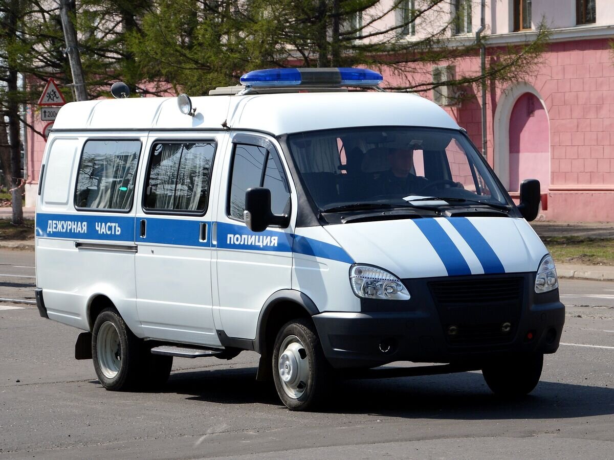 Автомобиль полиции© Fotolia / gorotckop